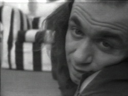 Vito Acconci Art