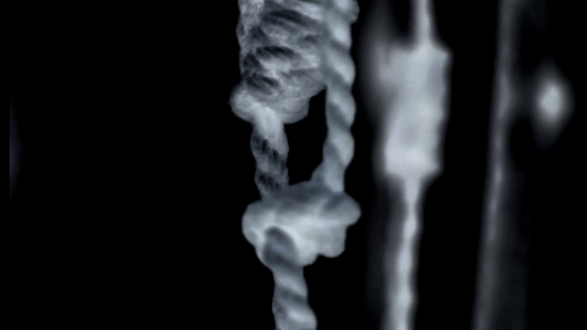 Skeleton Quipu