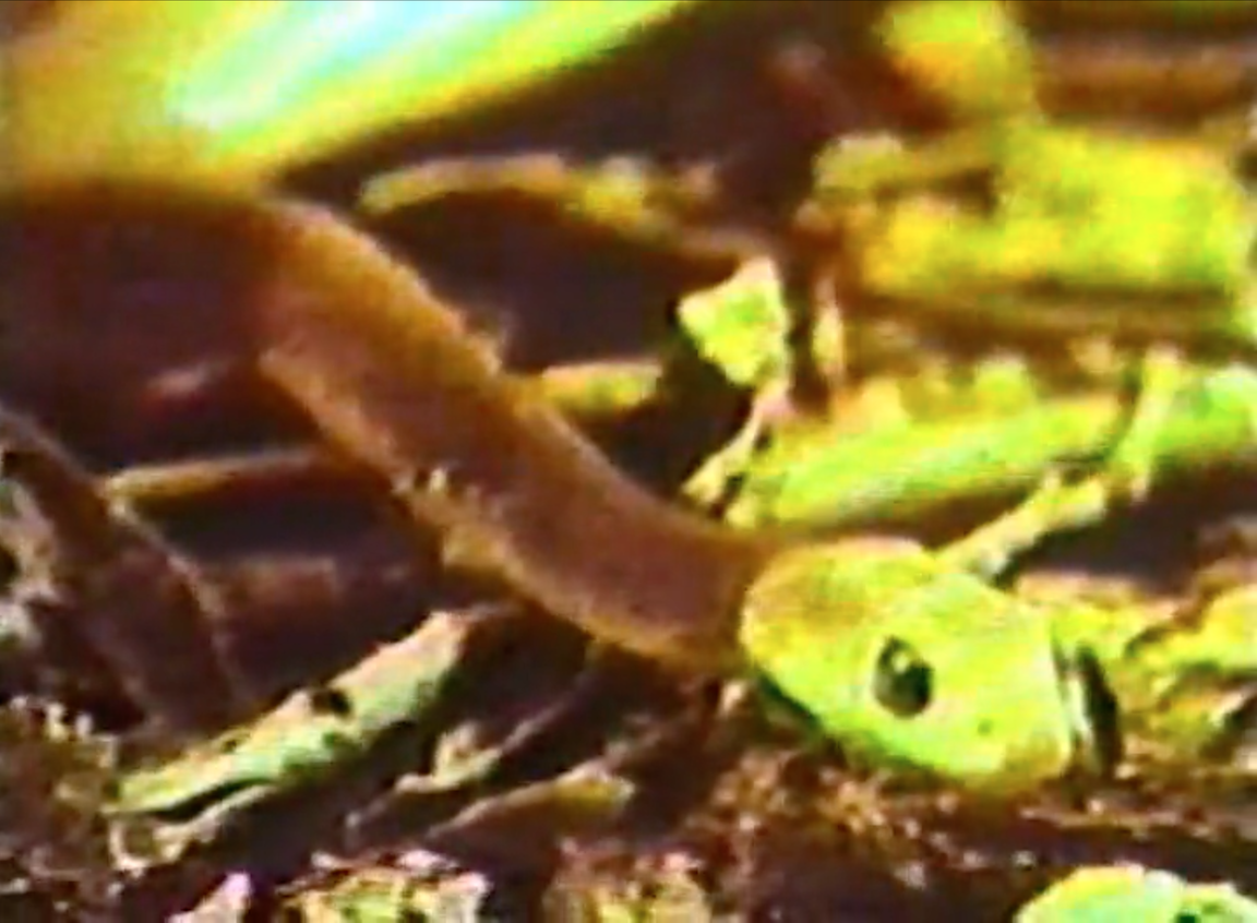 ITSOFOMO (in the shadow of forward motion) 