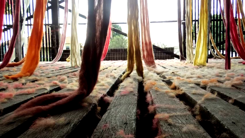 Quipu Austral